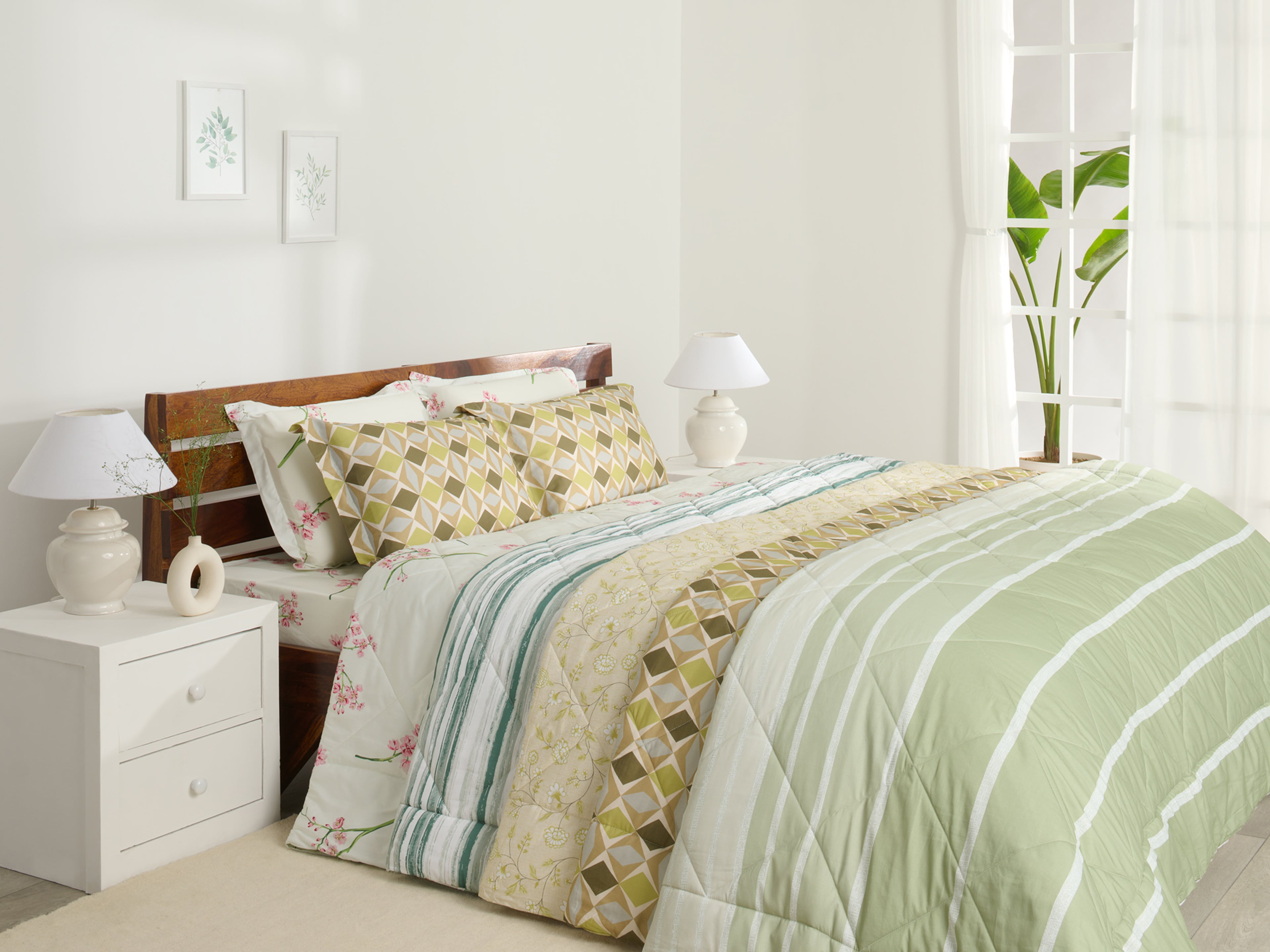 Special Festive Offer